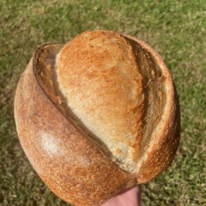 Classic White Sourdough