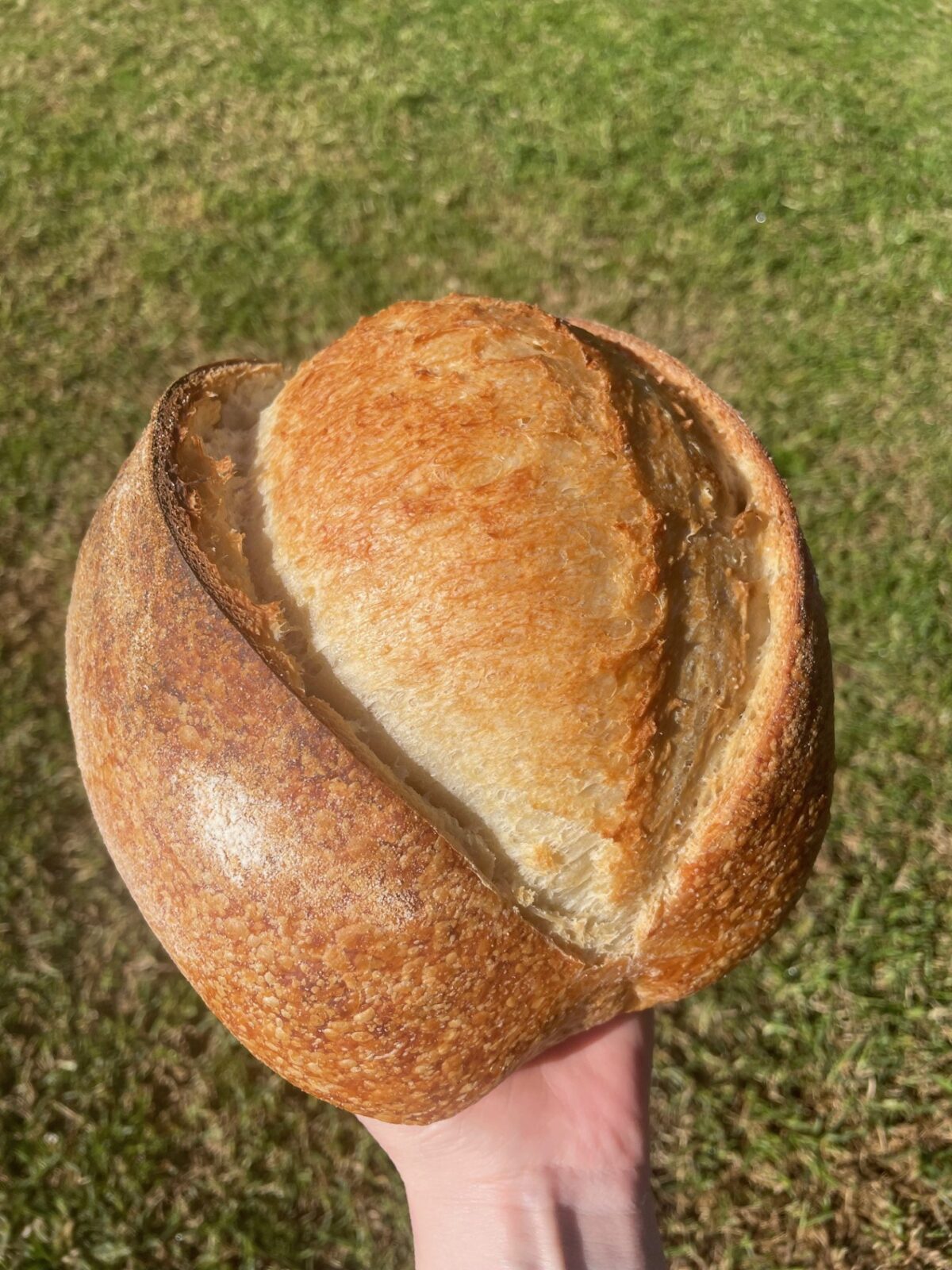 Classic White Sourdough